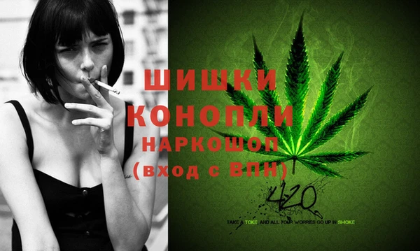 шишки Волосово