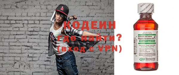 хмурый Вяземский